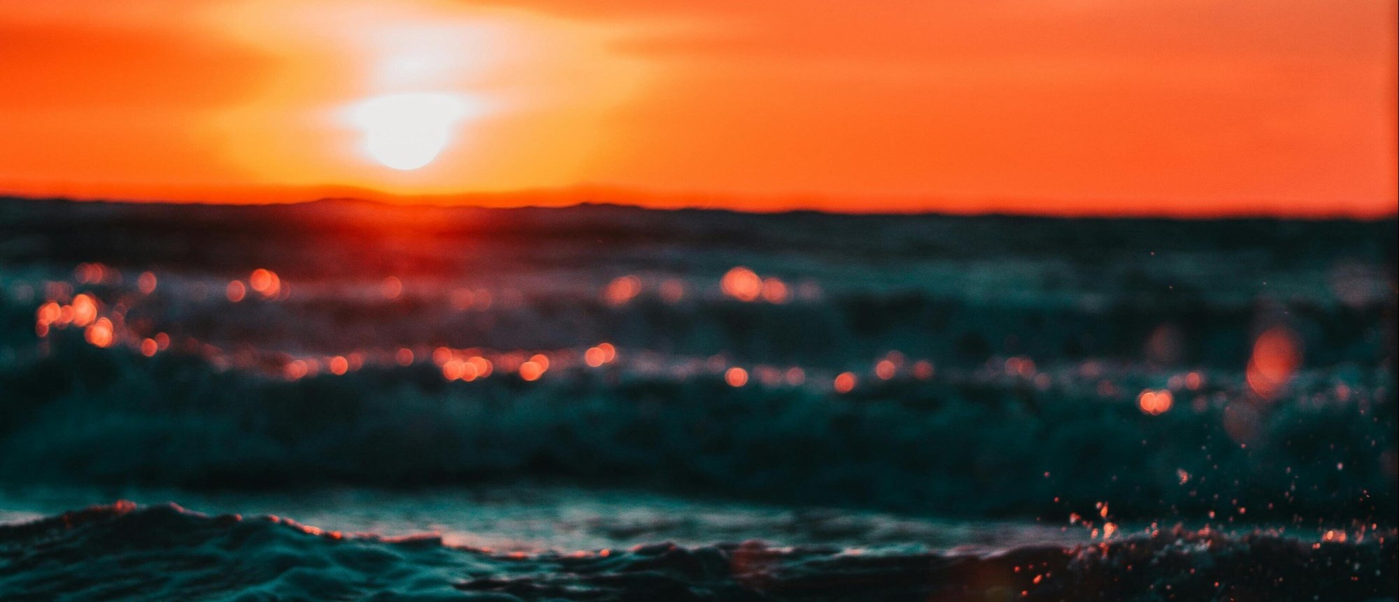 pexels-13nuance-561463-1